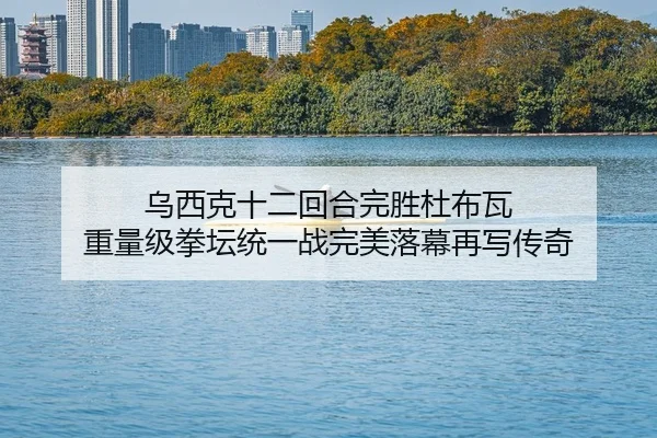 乌西克十二回合完胜杜布瓦 重量级拳坛统一战完美落幕再写传奇